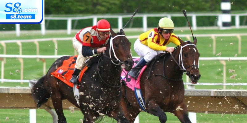 Lịch sử và sự phát triển của cá cược đua ngựa