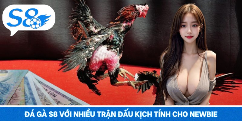 Đá gà S8 – Mãn Nhãn Từng Trận, Bùng Nổ Mỗi Pha Ra Đòn Đá gà S8 với nhiều trận đấu kịch tính cho newbie